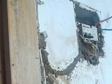 北滘白蚁预防公司该如何灭治房屋建筑中的白蚁